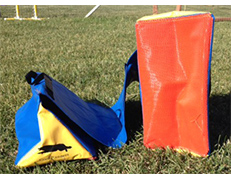 Bag for carrying the tunnels.