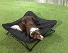 Rugged Pet Cot