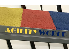 Thick Profile Aluminum Dog Walk